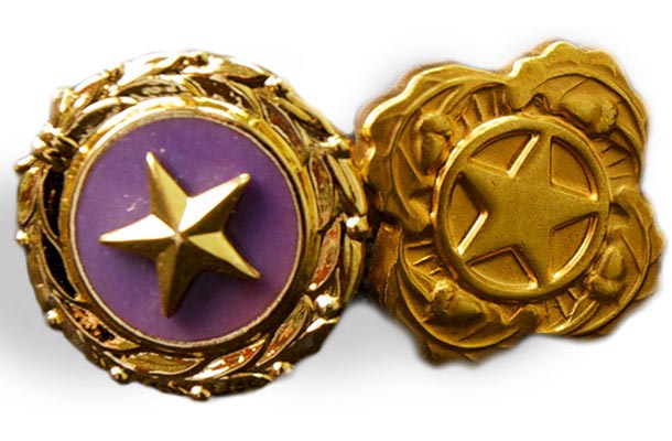 Gold Star and Next of Kin Deceased Personnel Lapel Pins