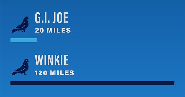 G.I. Joe vs. Winkie