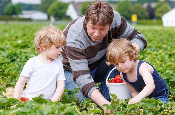 Transitioning to Agriculture