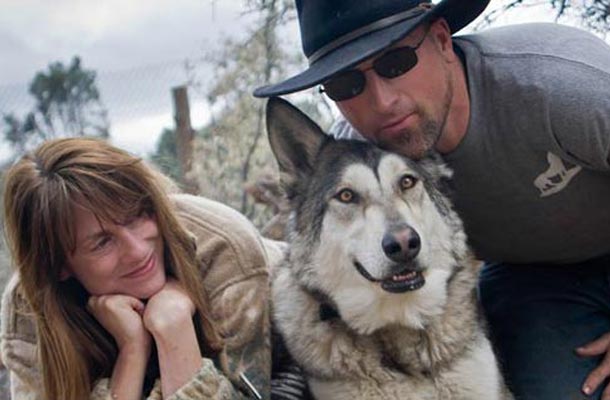 Veterans with PTSD getting wolf therapy